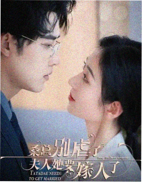 新闻女王 港剧海报
